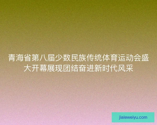 青海省第八届少数民族传统体育运动会盛大开幕展现团结奋进新时代风采