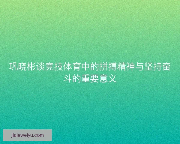 巩晓彬谈竞技体育中的拼搏精神与坚持奋斗的重要意义